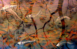 aboriginal art linonus fishleaves