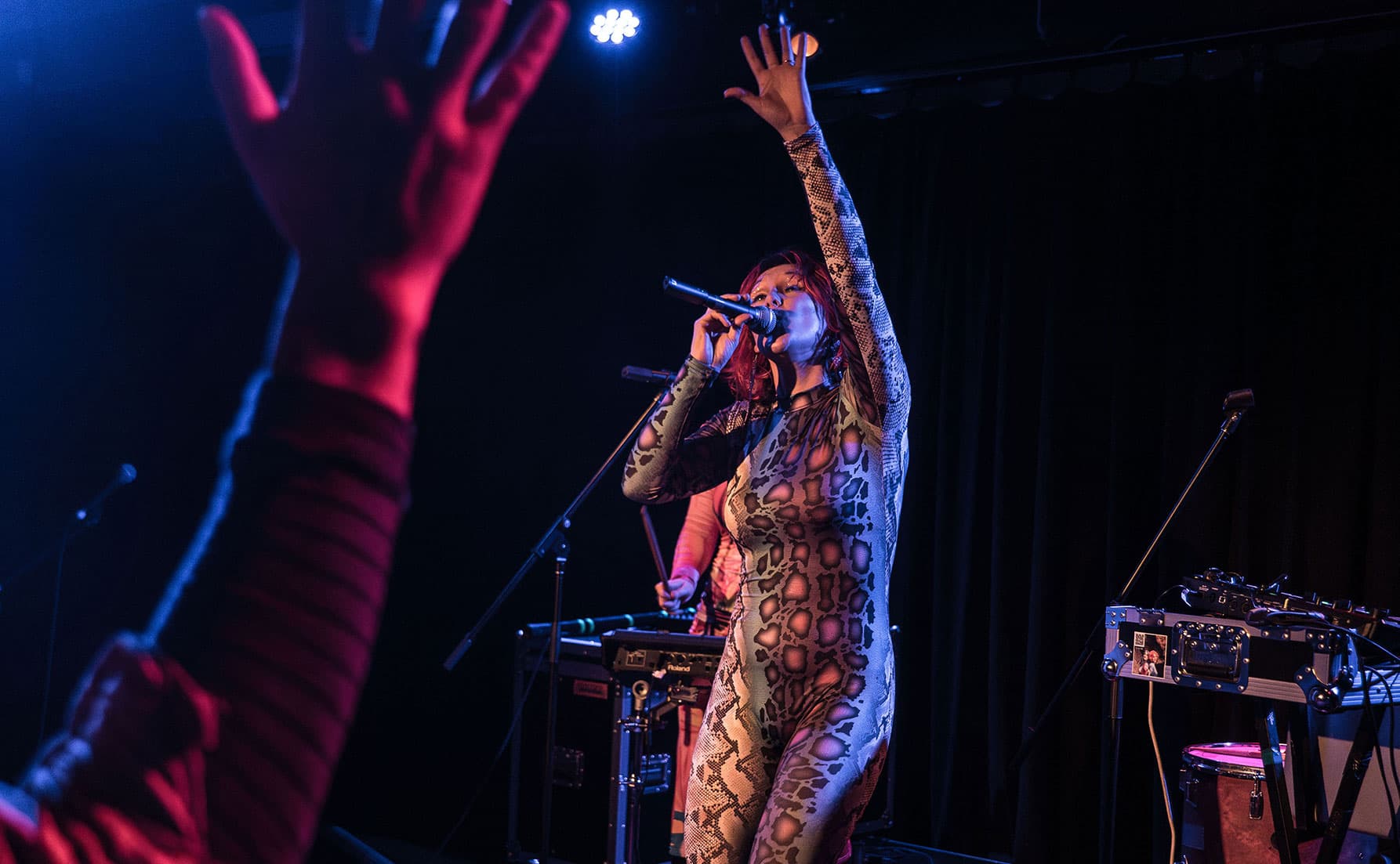 Charlie Needs Braces - Live in the Lyre 2025