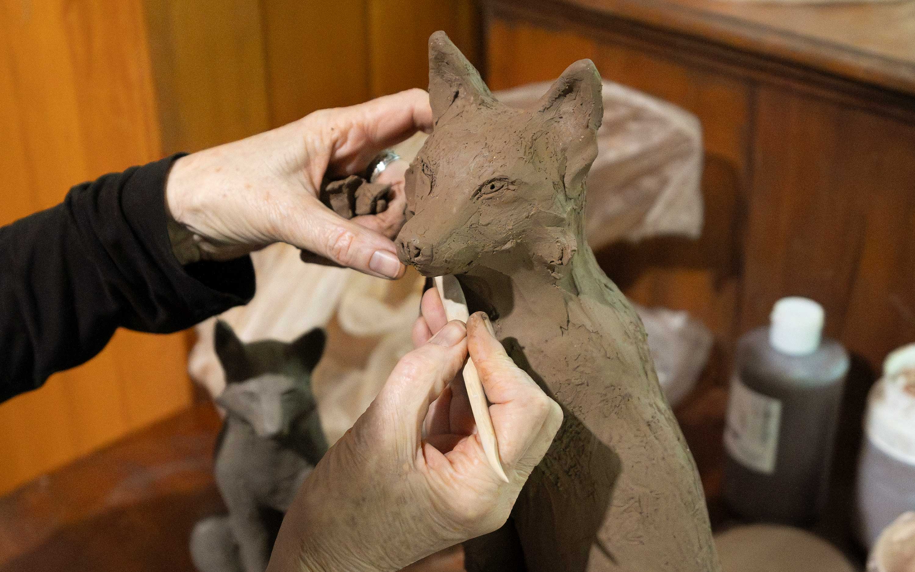 Internal Masthead Image