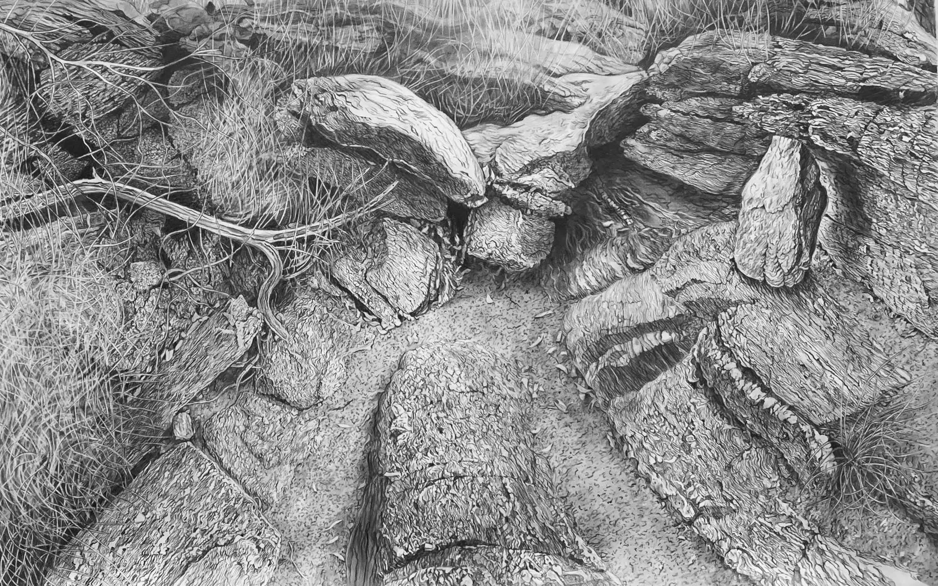 Moon Havoc by Rob Ross