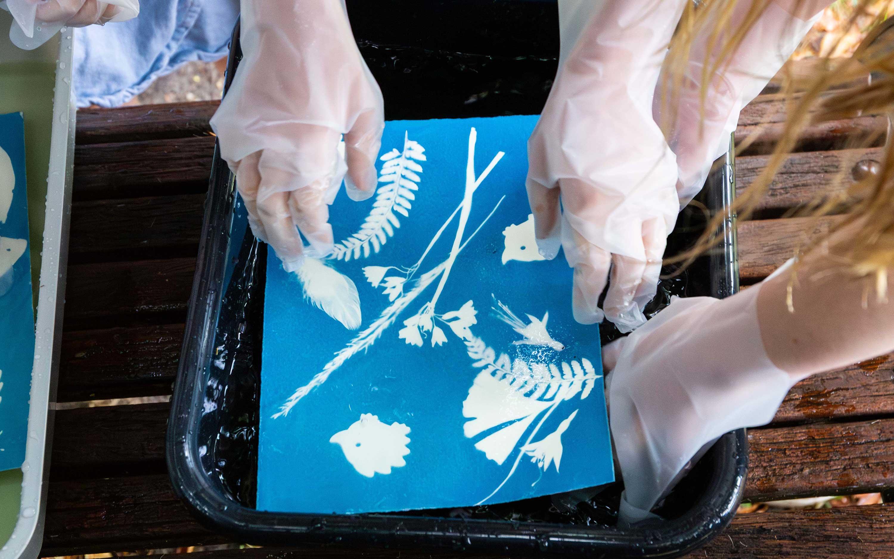 Gondwana cyanotype sun printing workshop for kids
