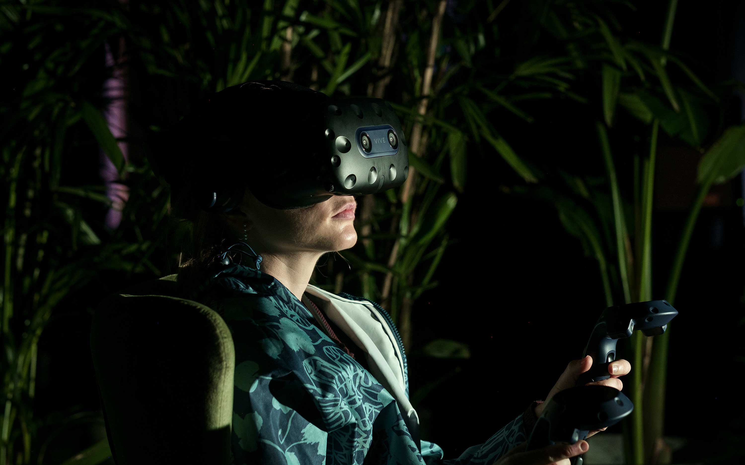 Gondwana VR - Yarra Ranges Regional Museum