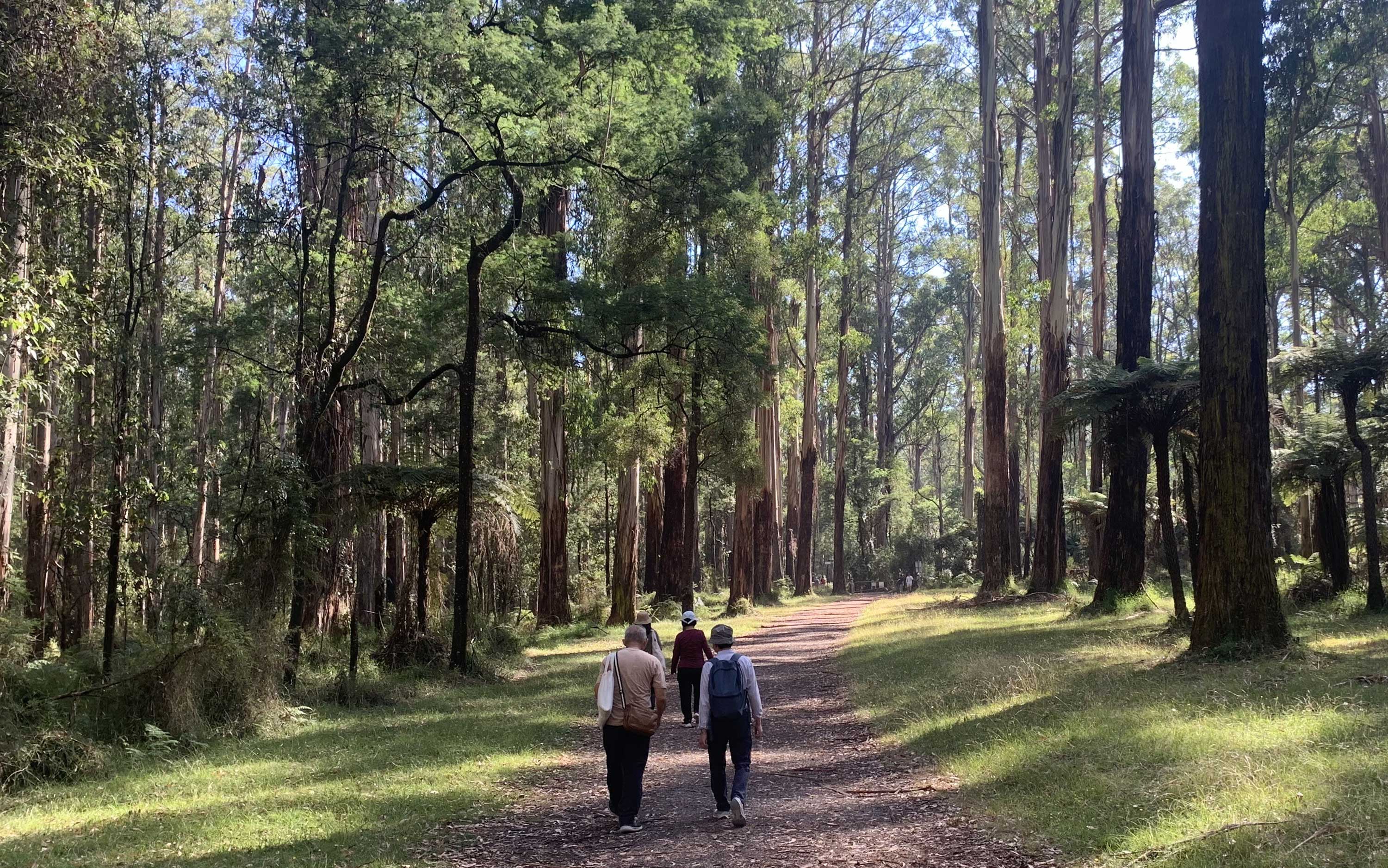 ngurrak barring Family Friendly Self-Guided Walk