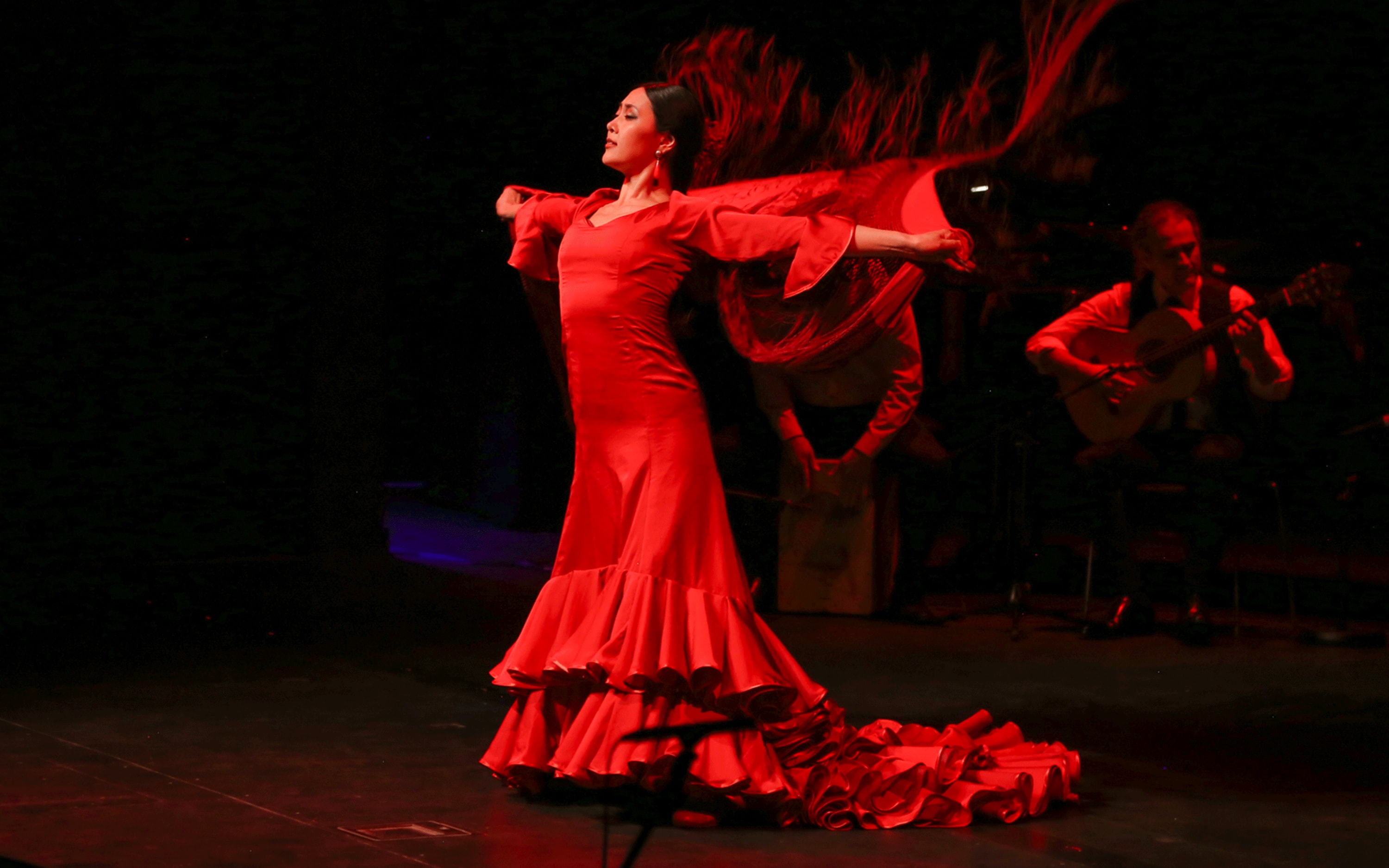Senes Flamenco