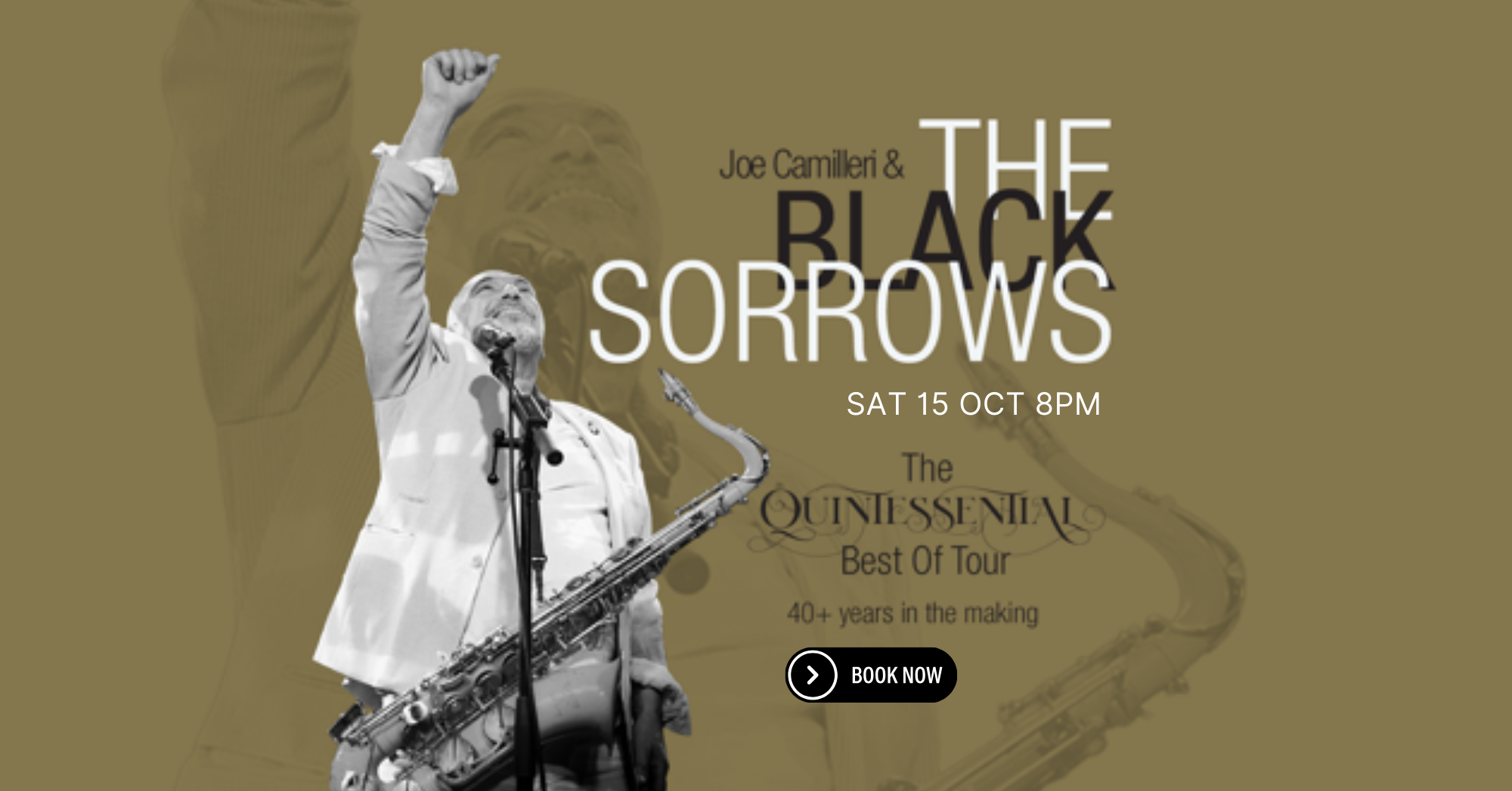 The Black Sorrows Saturday 4 October Burrinja Theatre
